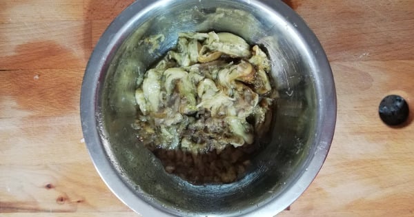 rumeli-begendisi-asama-1