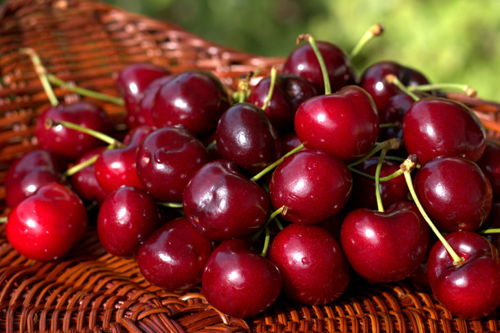 visne-receli-puf1