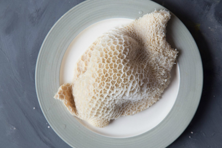 https://whattocooktoday.com/how-to-clean-beef-tripe.html | whattocooktoday 