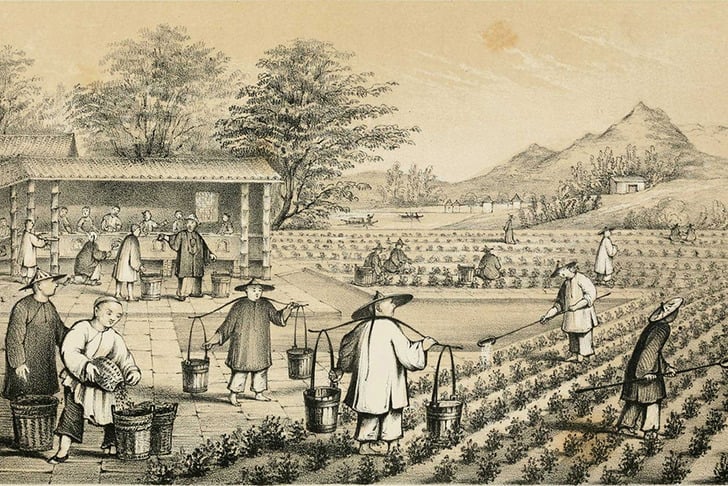 cayin-yolculugu-bir