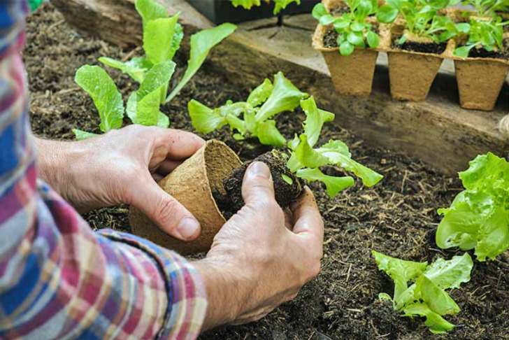 gardenerspath