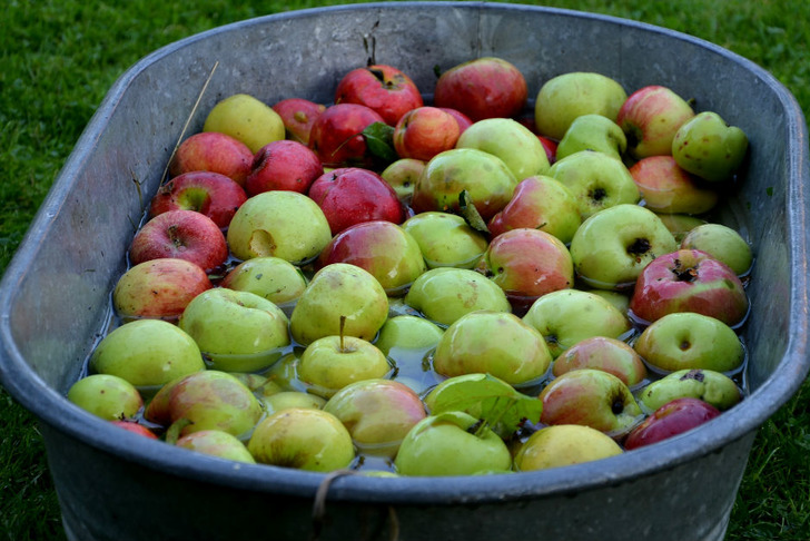 elma-sirkesi-puf-noktalari1