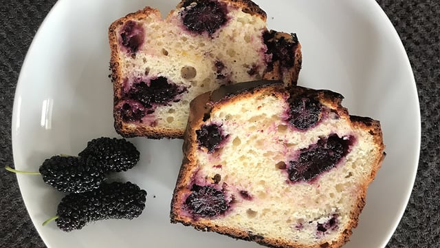 Rengarenk ve Mis Kokan: Karadutlu Limonlu Kek