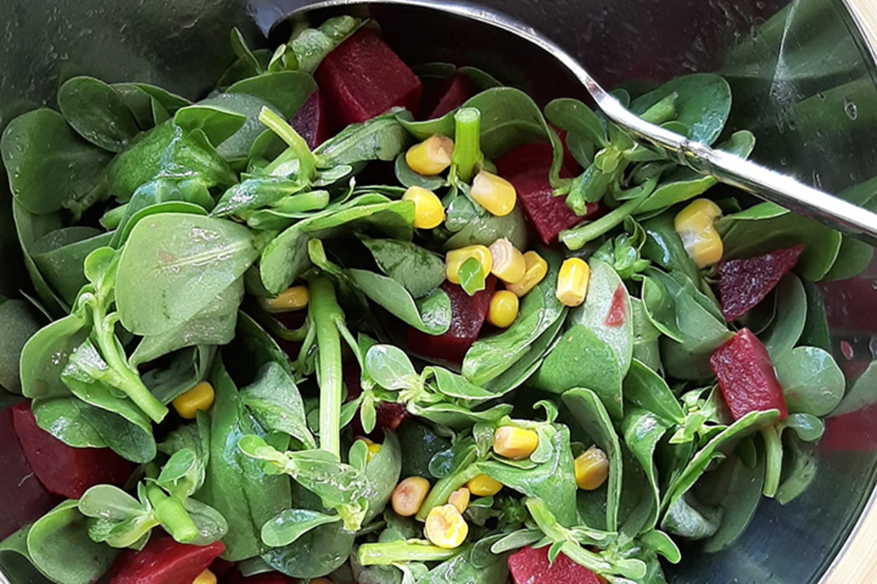 Renk Cümbüşü: Pancarlı Semizotu Salatası