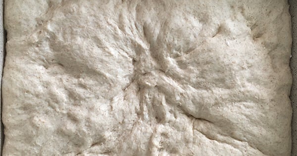 tam-bugdayli-focaccia-adim-2