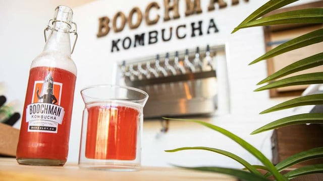 Kombucha Nedir: Faydaları Nelerdir, Zararları Var Mıdır?