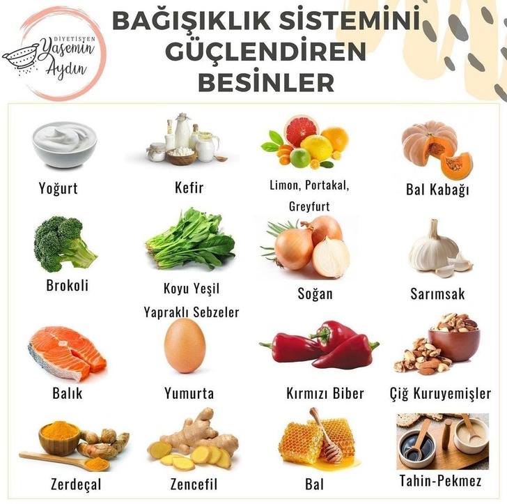 BAĞIŞIKLIK SİSTEMİNİ GÜÇLENDİREN BESİNLER