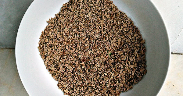 soya-kiymali-taze-fasulye-adim-1