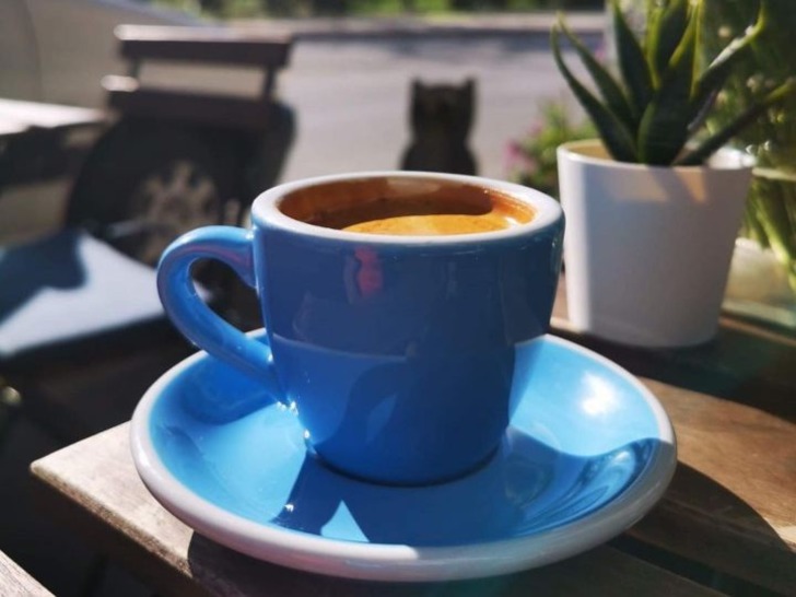 https://www.instagram.com/ugglacoffee/ | instagram
