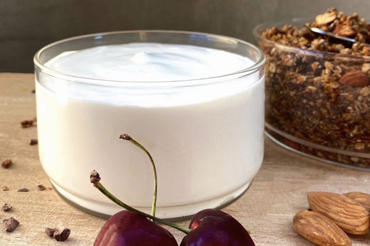 Kıvamı Şahane: Vegan Hindistan Cevizi Yoğurdu