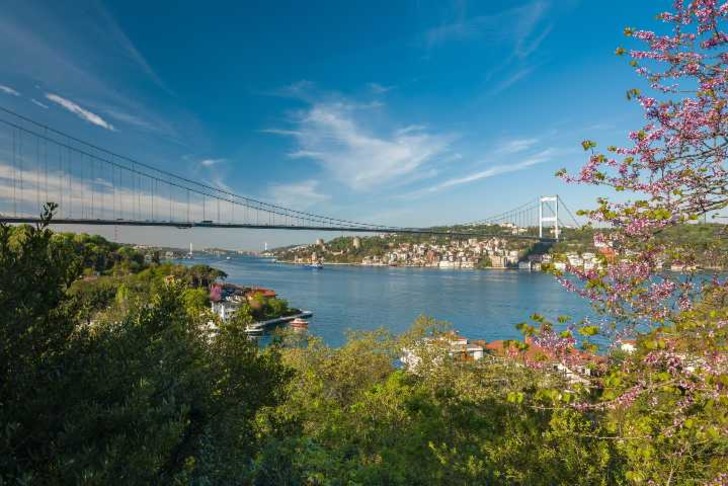 istanbul-piknik-alanlari-mihrabat-korusu-shutter