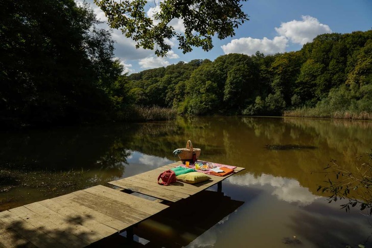 belgrad-ormani-piknik-alanlari-shutter