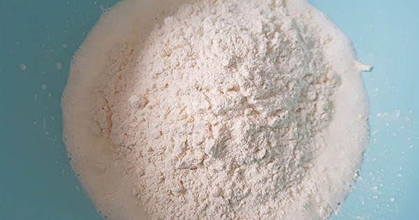 saya-coregi-adim-2
