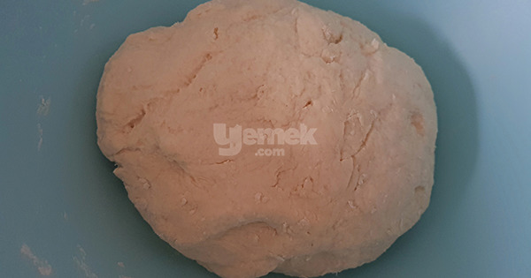 saya-coregi-adim-3