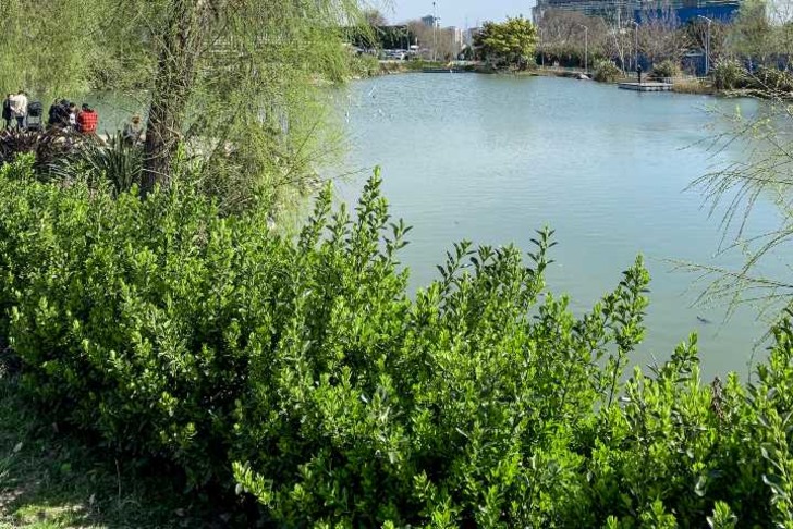 bakirkoy-botanik-park-piknik-alanlari-shutter