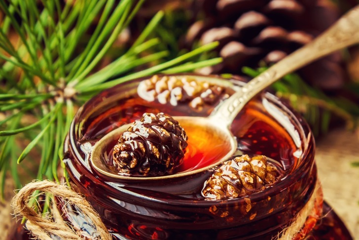 cam-kozalagi-pekmezi-faydalari-4