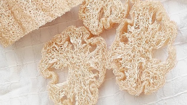 Bulaşık Süngerinizi Çöpe Attıracak Kabak Lifi Gerçekleri
