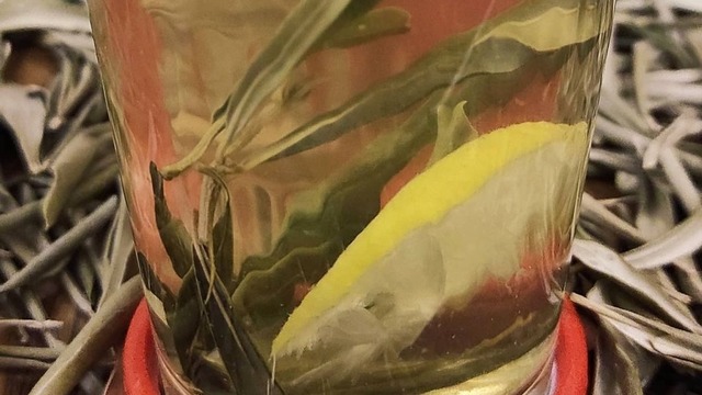 Doğanın Kadim Mucizesi: Zeytin Yaprağı