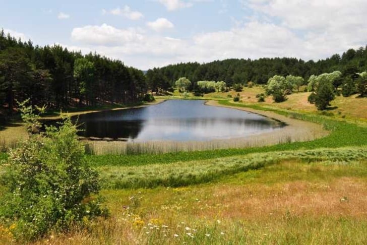kizilcahamam.gov.tr