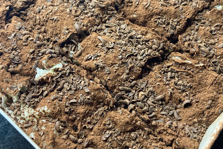 Diyet Soğuk Baklava Tarifi