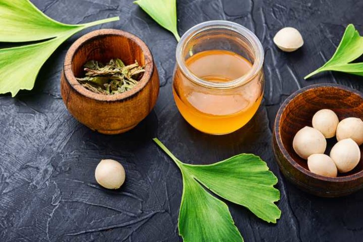 ginkgo biloba-ne-ise-yarar-shutter-2