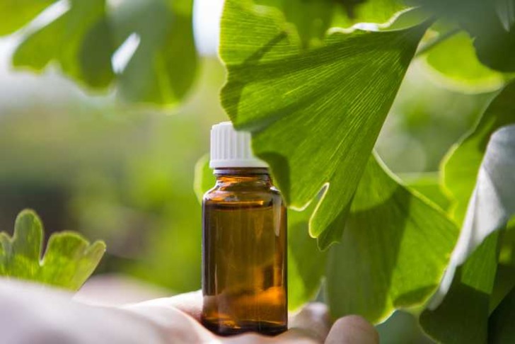 ginkgo-biloba-zararlari-shutter-1