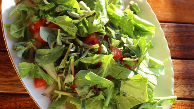 Tazeleyici ve Enfes: Zeytinyağlı Semizotu Salatası