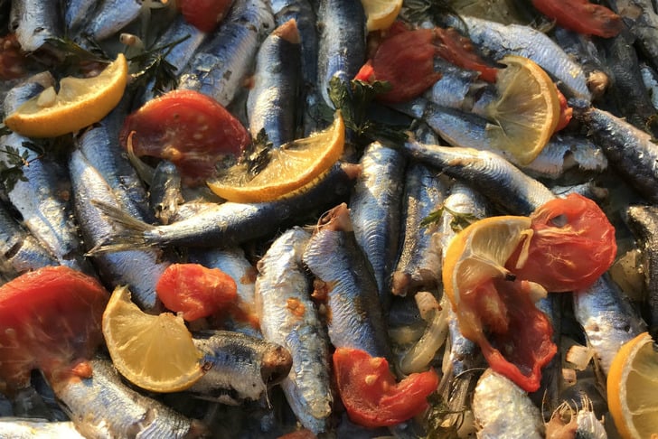 sardalya-bugulama-ege