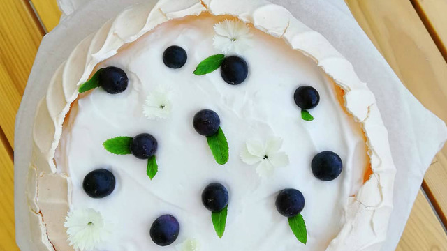 Balerin Eteği: Pavlova
