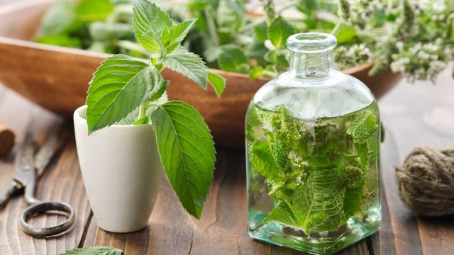 Ağrı Kesici Etkisi Gösteren Doğal Bir Ürün O: Çin Yağı