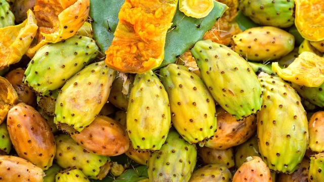Kaktüs Meyvesi (Frenk İnciri) Nedir? Kaktüs Meyvesi Faydaları