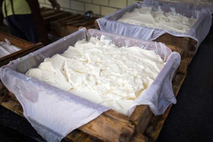 Tofu nasıl yapılır?