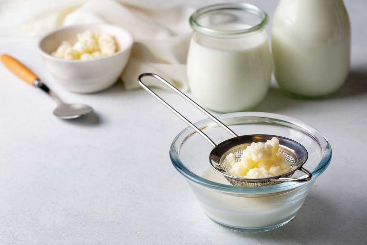 Kefir Mayası Nedir, Nasıl Yapılır?