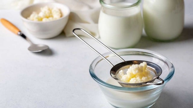 Kefir Mayası Nedir, Nasıl Yapılır?