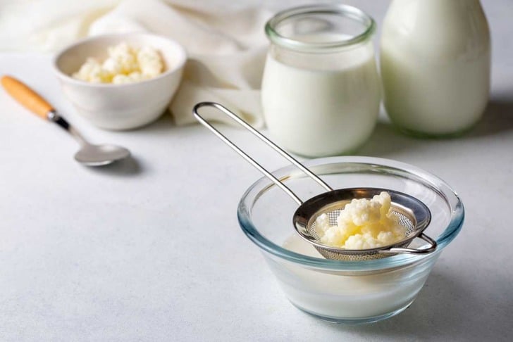 Kefir mayası nasıl saklanır?