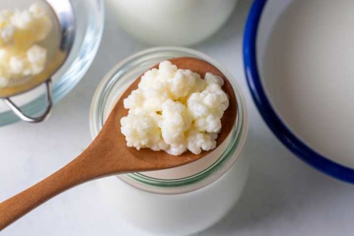 Kefir mayası nasıl saklanır?