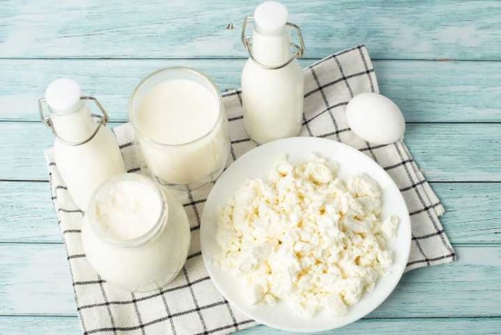 Kefir mayası bozulur mu?