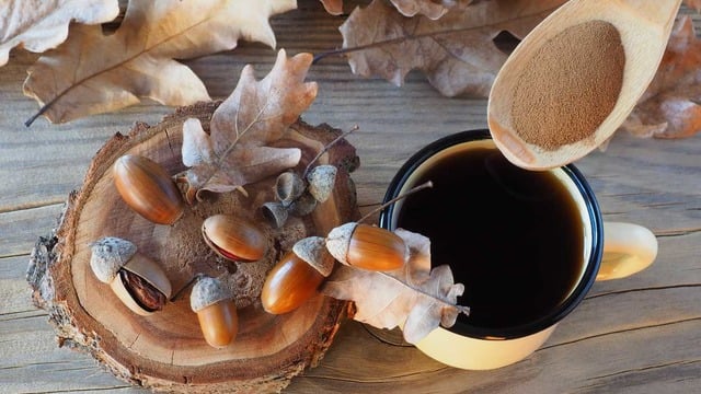 Meşe Palamudu Nedir? Meşe Palamudu Yenir mi?