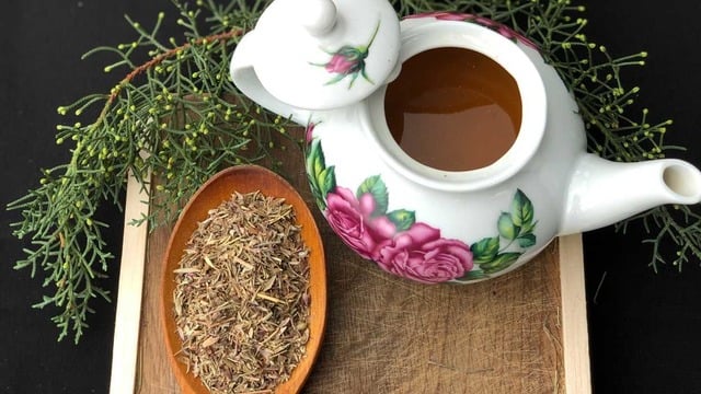 Zahter Çayı Faydaları Nelerdir, Nasıl Yapılır?