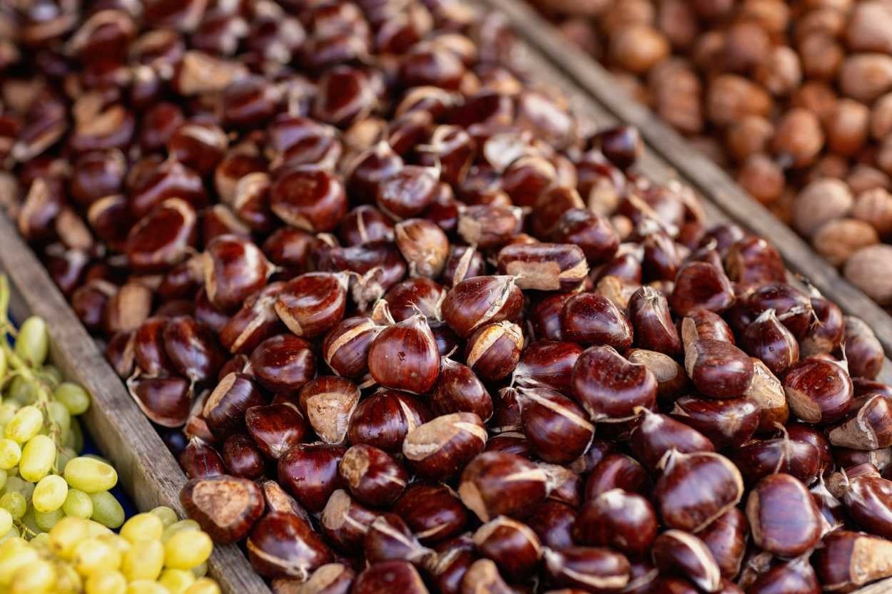 Çin Kestanesi Nasıl Anlaşılır, Zararları Nelerdir?