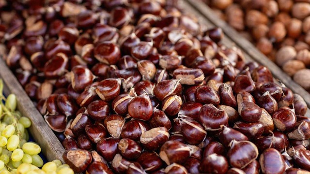 Çin Kestanesi Nasıl Anlaşılır, Zararları Nelerdir?