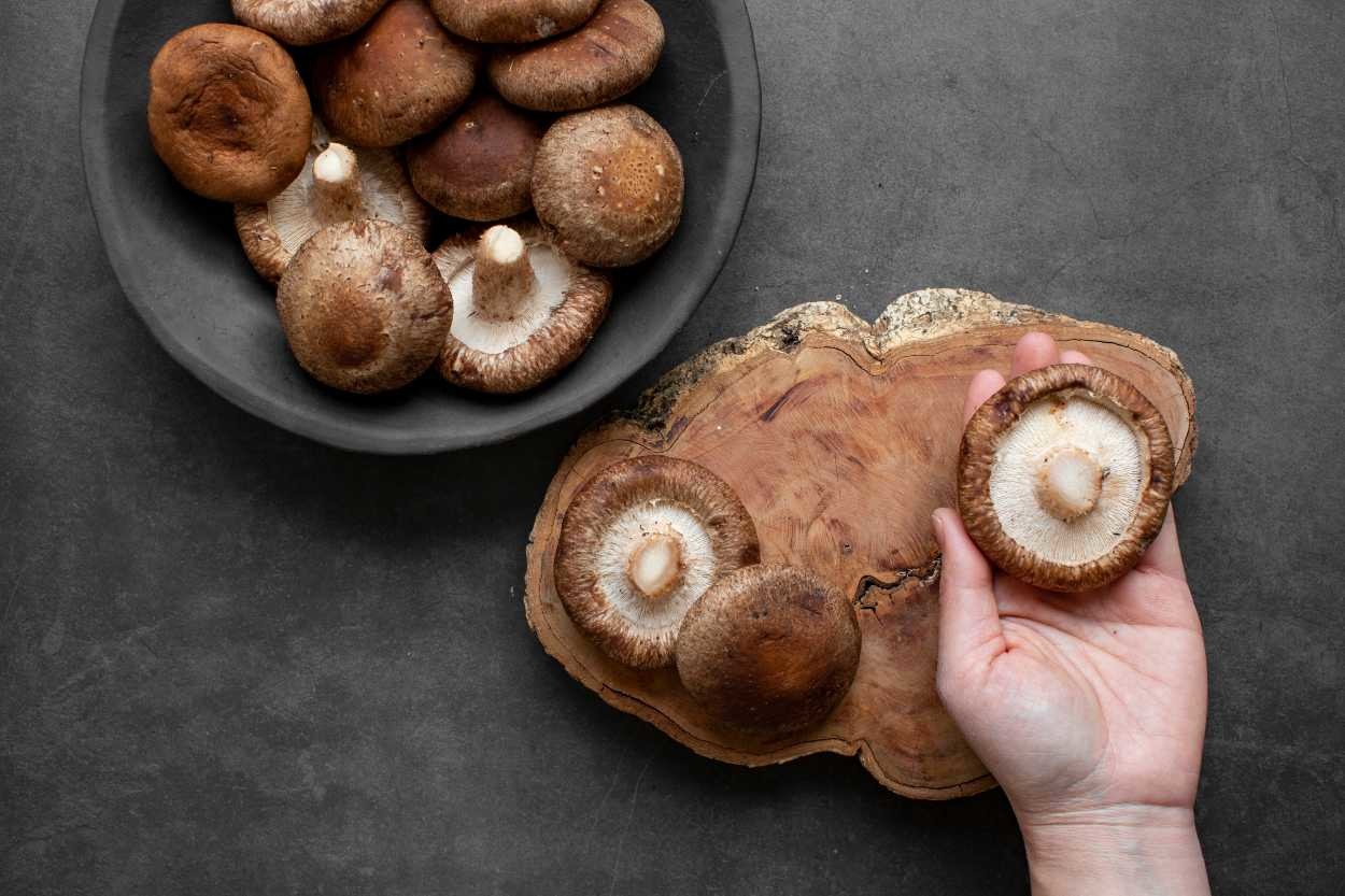 Shiitake Mantarı Faydaları Nelerdir, Nasıl Yenir?