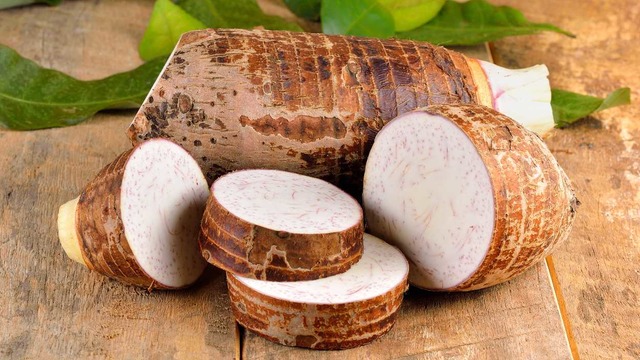 Gölevez Nedir, Faydaları Nelerdir? 