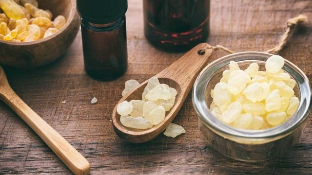 Akgünlük Sakızı Nedir, Faydaları Nelerdir?