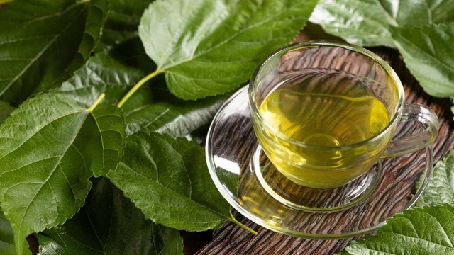 Dut Yaprağı Nedir? Faydaları ve Kullanımı Hakkında Bilmeniz Gerekenler