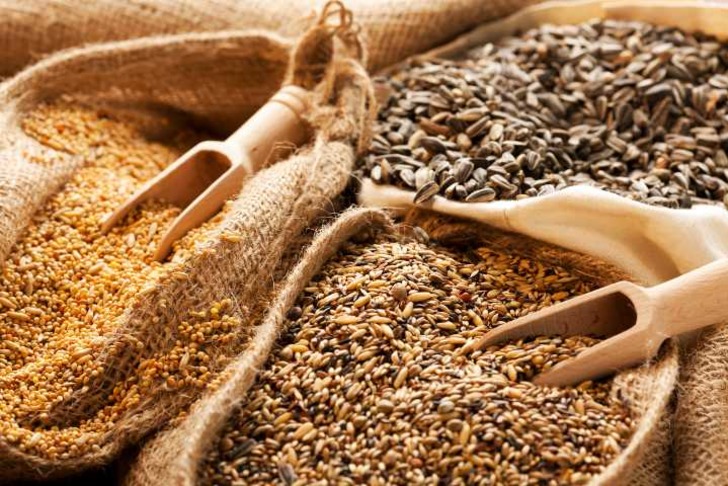 Hububat nedir?
