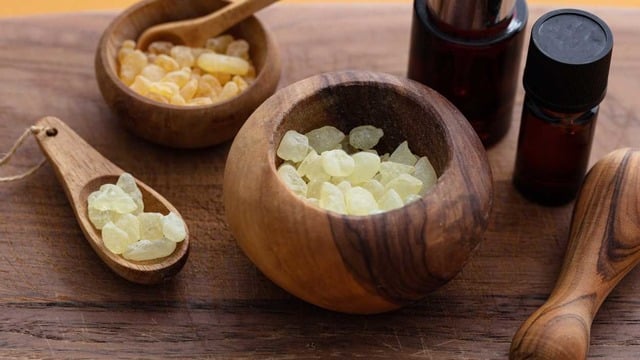 Sandaloz Sakızı Nedir? Faydaları Nelerdir?