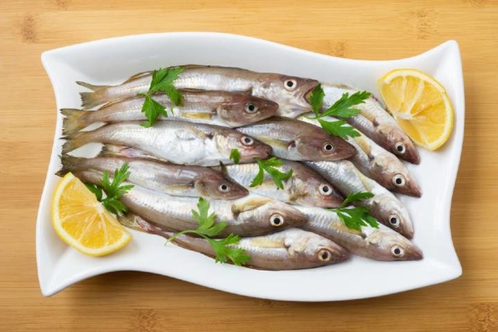 Mezgit