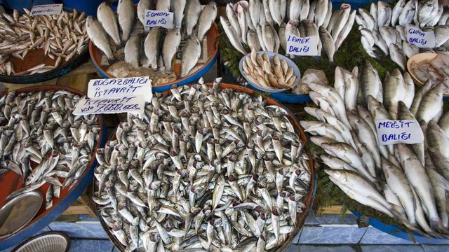 Türkiye’de Tüketilen Balık Çeşitleri ve Özellikleri