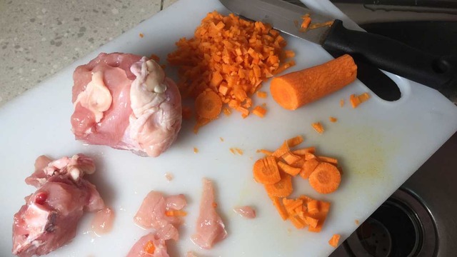 Salmonella Nedir, Belirtileri Nelerdir?